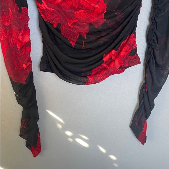 NWT Jolie & Joy M ruched whimsigoth mesh long sleeve floral romantic top - Picture 4 of 10